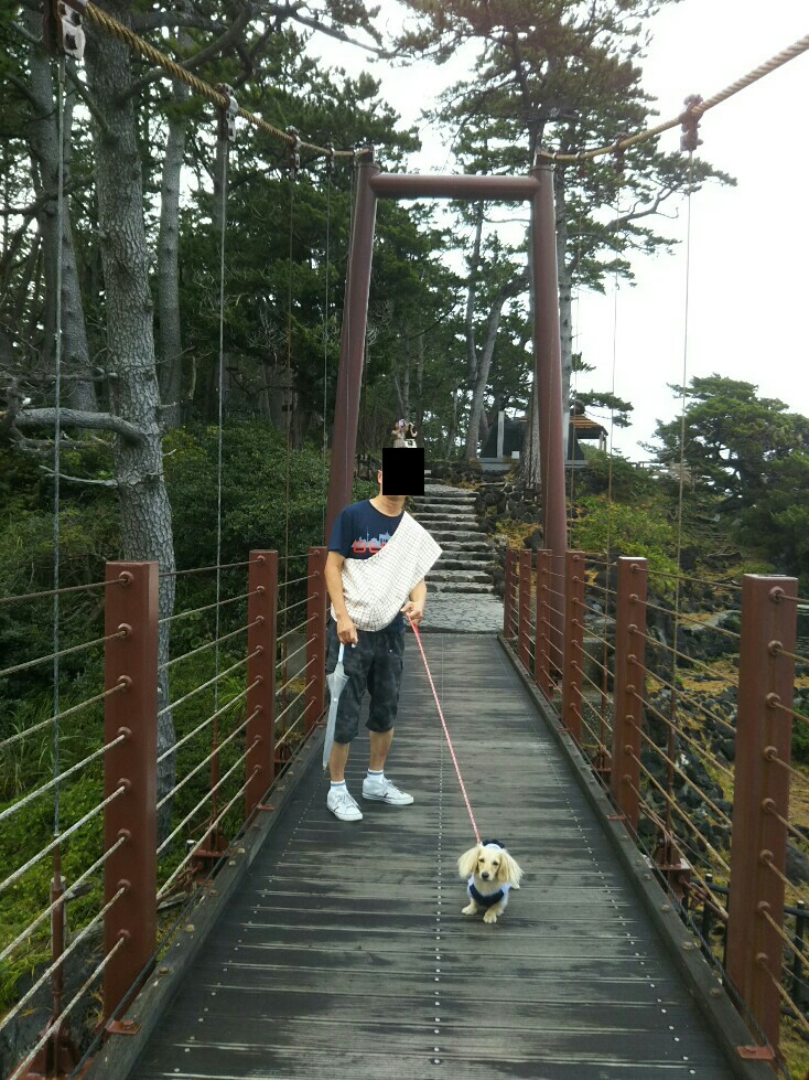 f:id:hirotaka72:20190918123722j:plain f:id:hirotaka72:20190918123722j:plain
