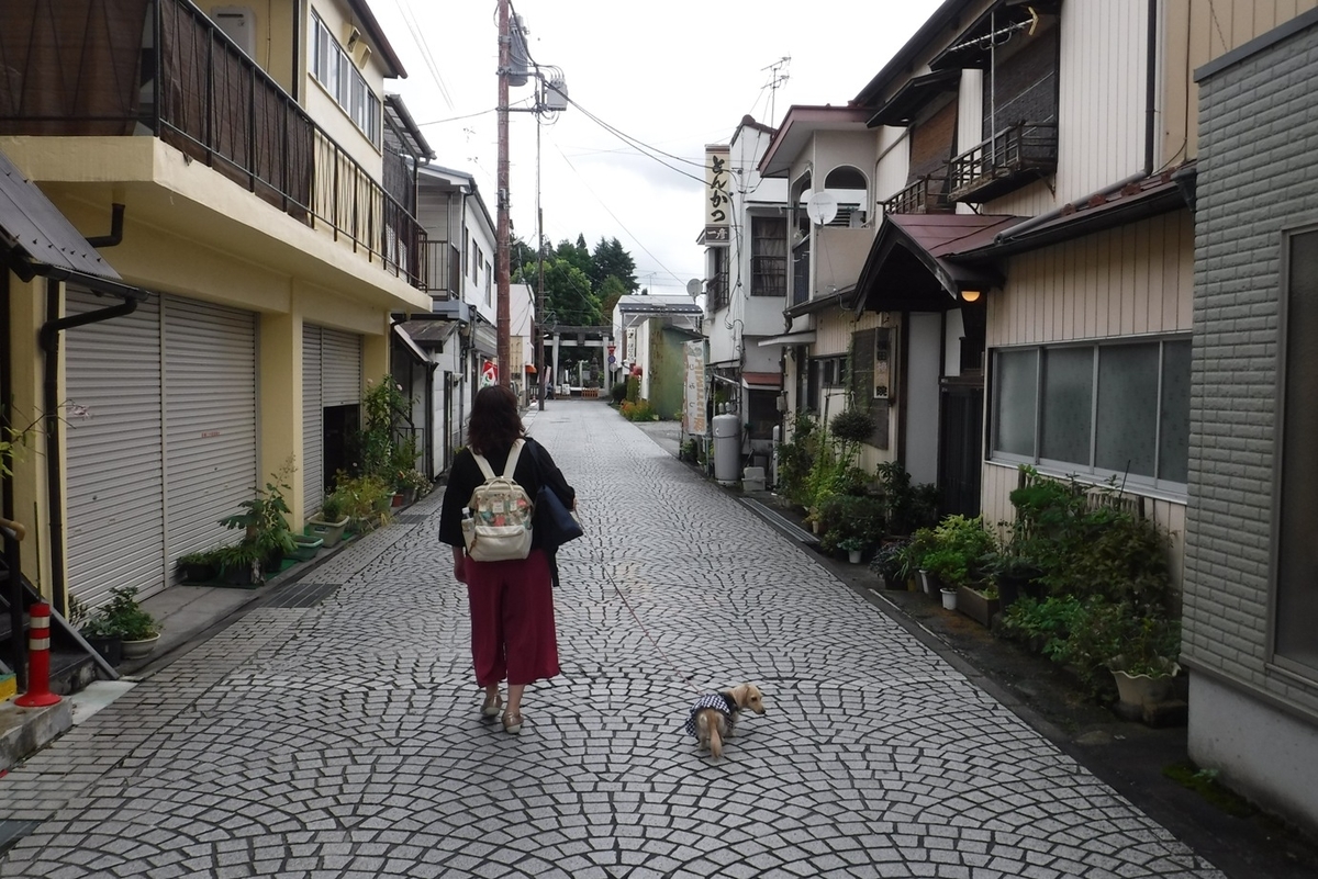 f:id:hirotaka72:20190921101916j:plain f:id:hirotaka72:20190921101916j:plain