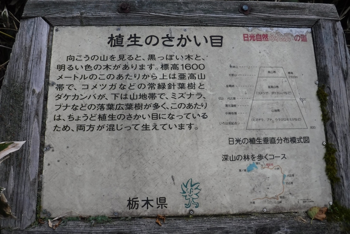f:id:hirotaka72:20190922090857j:plain f:id:hirotaka72:20190922090857j:plain