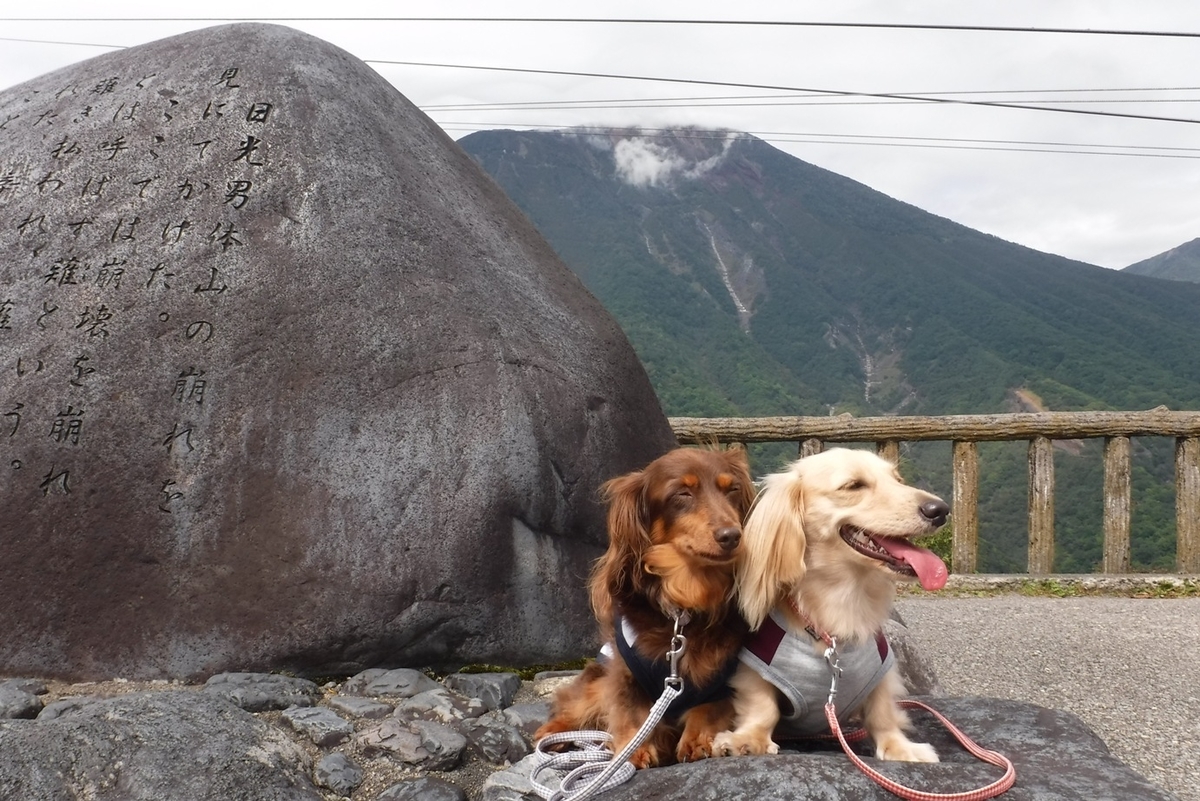 f:id:hirotaka72:20190922105929j:plain f:id:hirotaka72:20190922105929j:plain