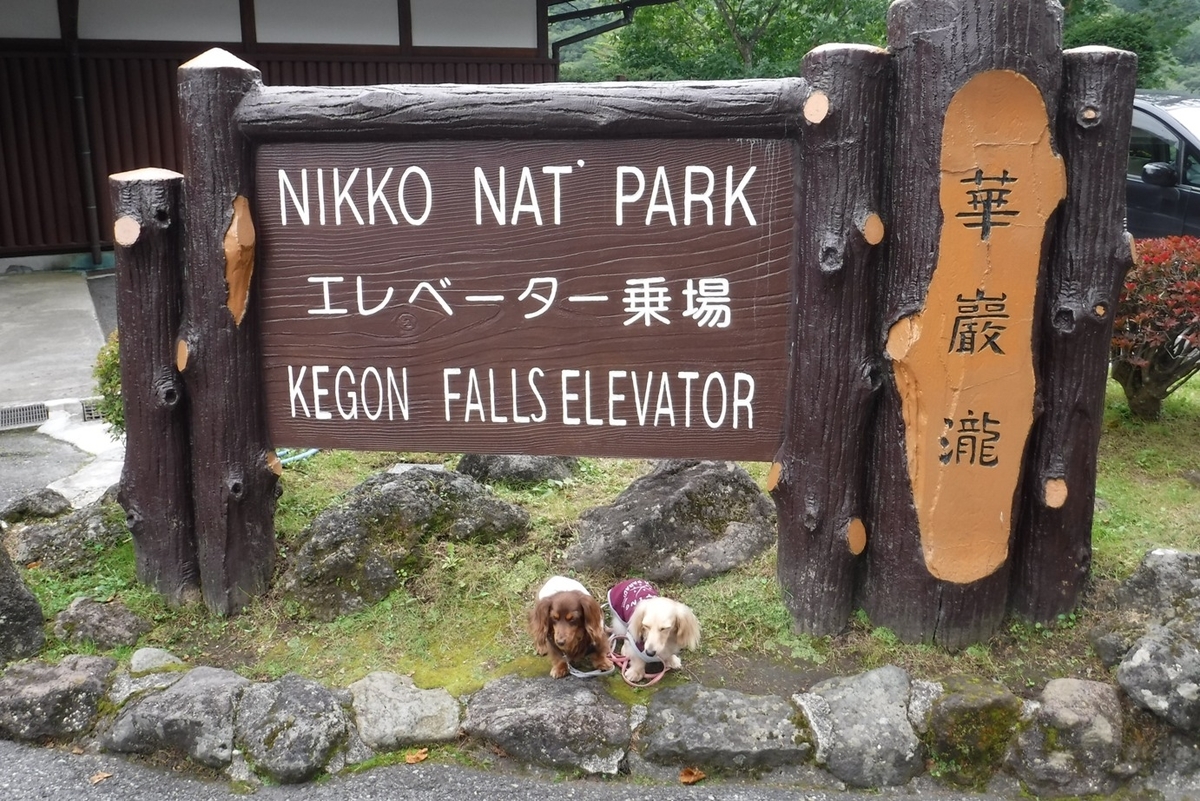 f:id:hirotaka72:20190922121755j:plain f:id:hirotaka72:20190922121755j:plain