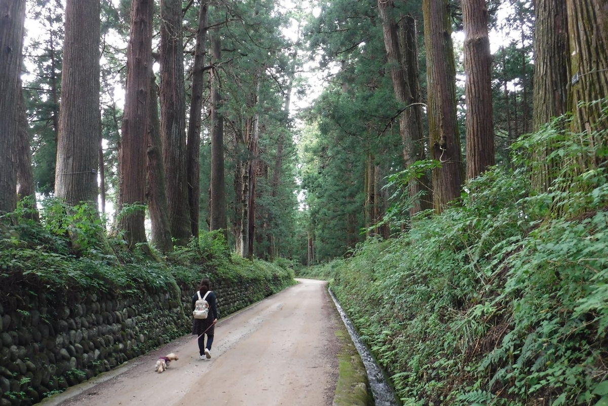 f:id:hirotaka72:20190922143558j:plain f:id:hirotaka72:20190922143558j:plain