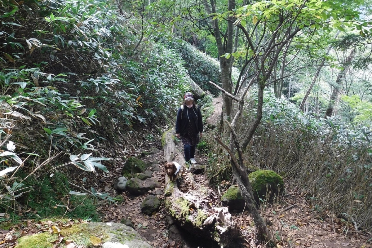 f:id:hirotaka72:20190923103609j:plain f:id:hirotaka72:20190923103609j:plain