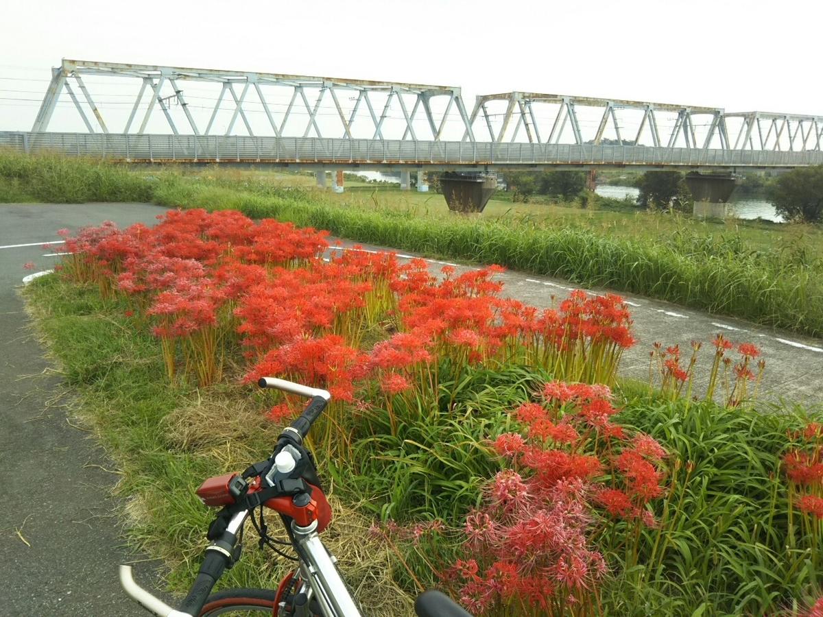 f:id:hirotaka72:20190928082551j:plain