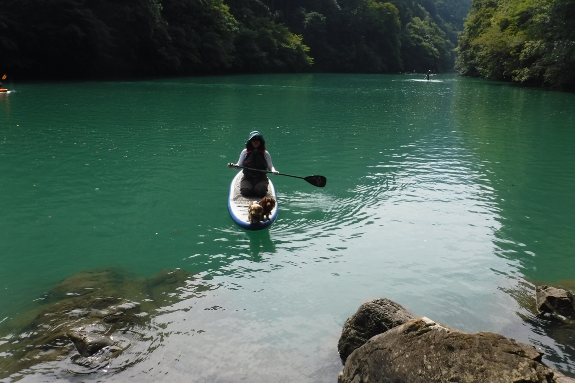 f:id:hirotaka72:20190929105916j:plain f:id:hirotaka72:20190929105916j:plain