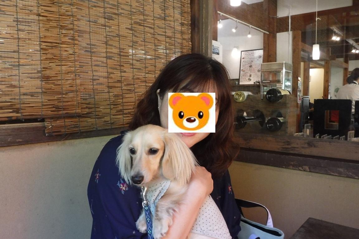 f:id:hirotaka72:20190929120235j:plain f:id:hirotaka72:20190929120235j:plain