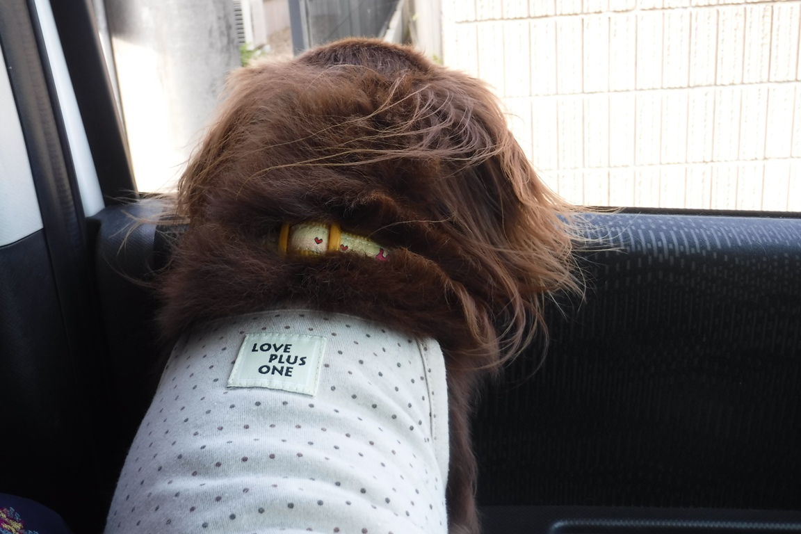 f:id:hirotaka72:20190929150516j:plain f:id:hirotaka72:20190929150516j:plain