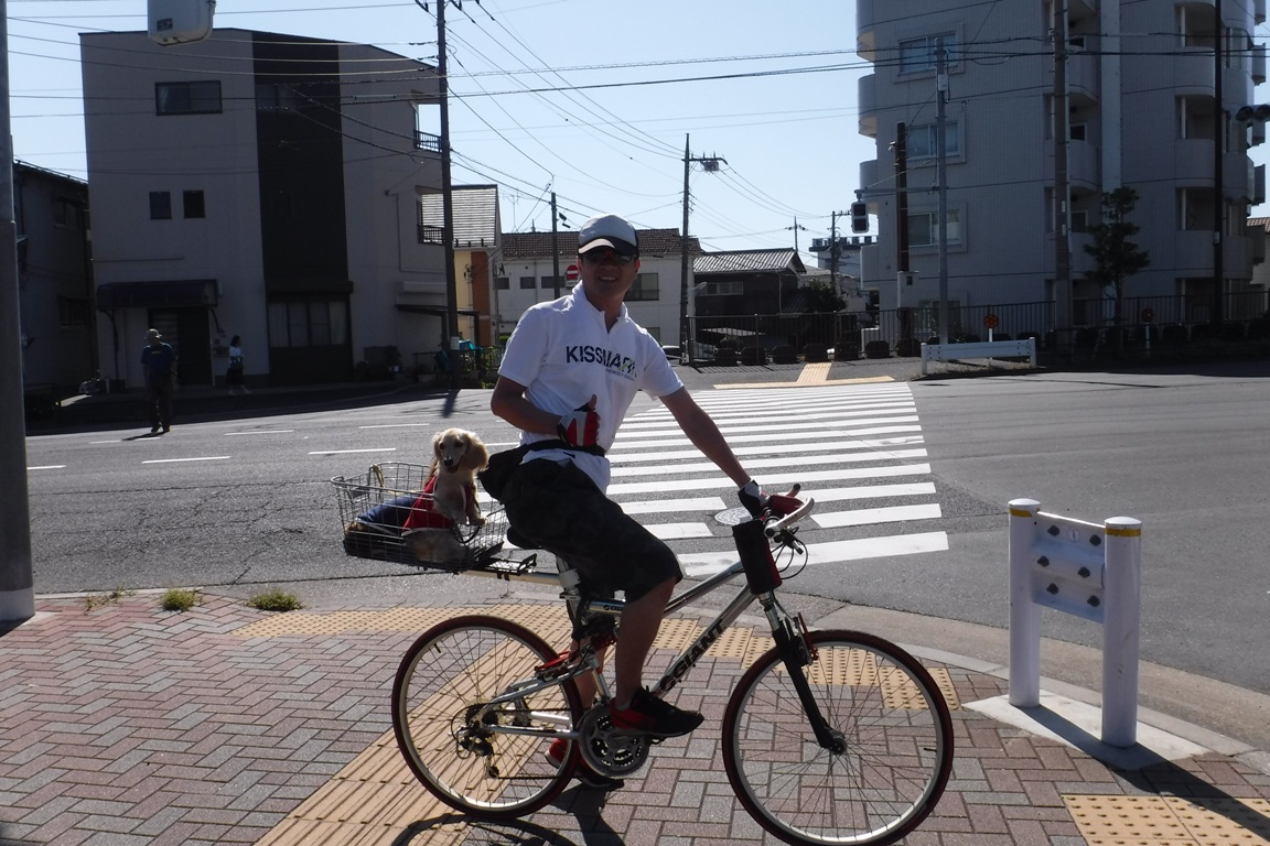 f:id:hirotaka72:20191005092058j:plain f:id:hirotaka72:20191005092058j:plain