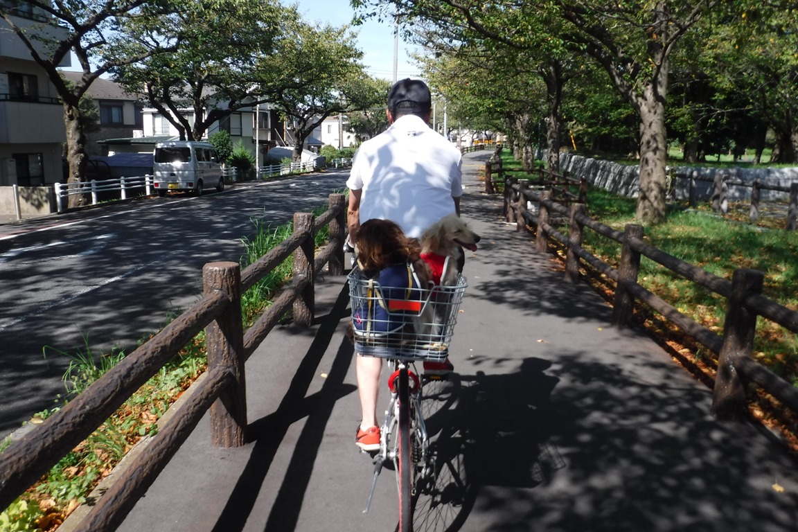 f:id:hirotaka72:20191005092205j:plain f:id:hirotaka72:20191005092205j:plain