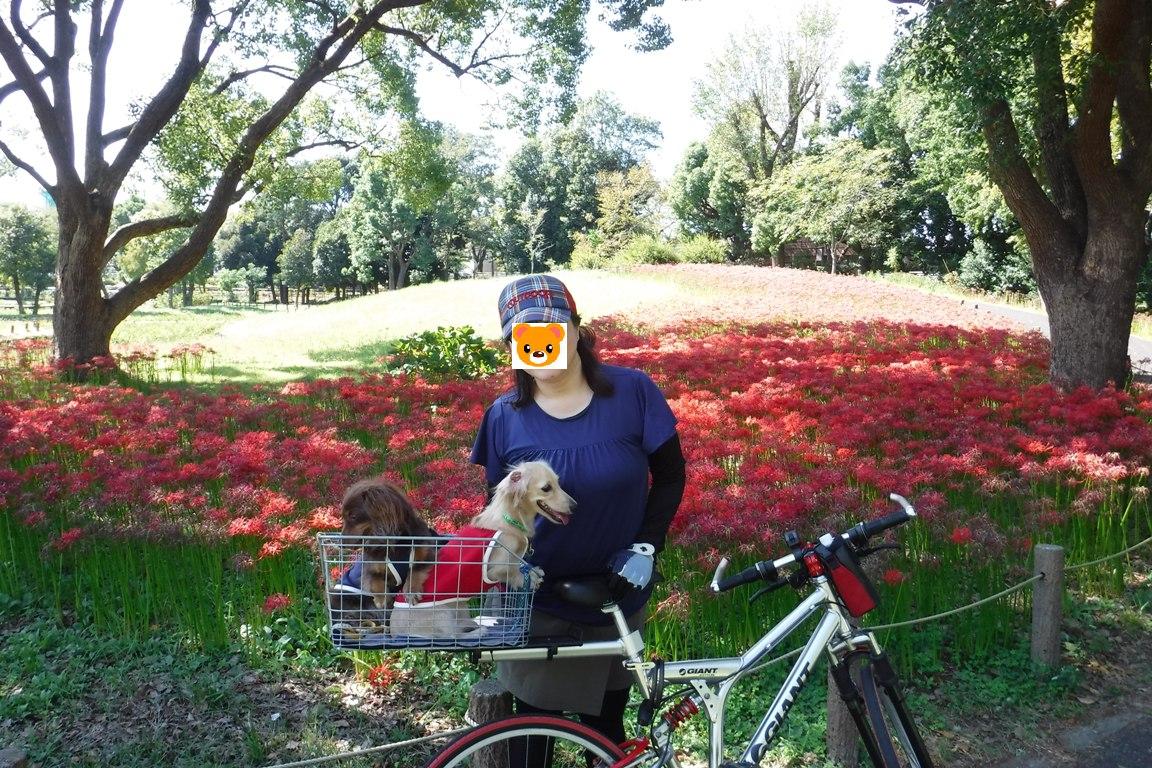f:id:hirotaka72:20191005093145j:plain f:id:hirotaka72:20191005093145j:plain