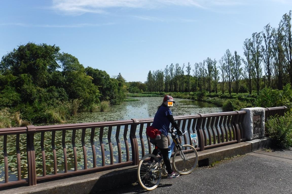 f:id:hirotaka72:20191005100351j:plain f:id:hirotaka72:20191005100351j:plain