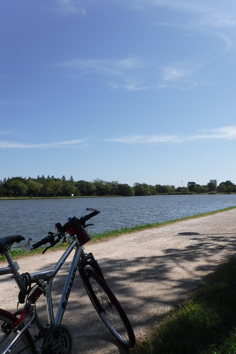 f:id:hirotaka72:20191005102920j:plain f:id:hirotaka72:20191005102920j:plain