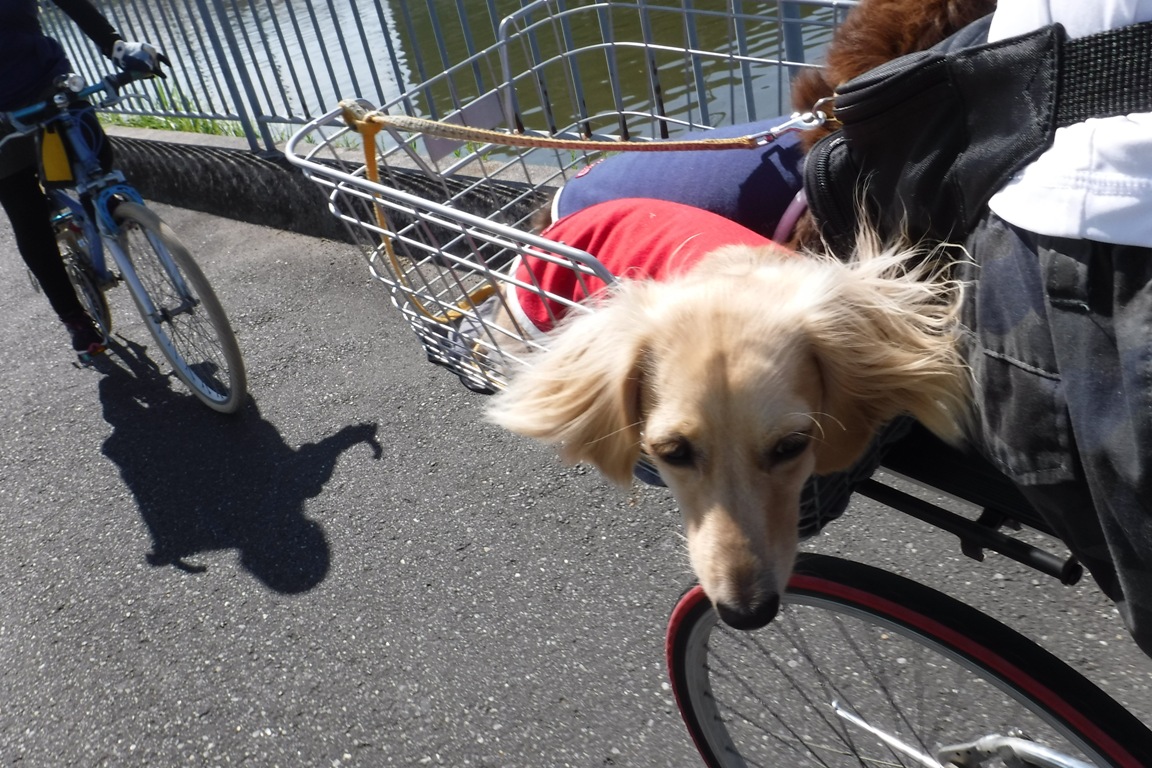 f:id:hirotaka72:20191005114540j:plain f:id:hirotaka72:20191005114540j:plain