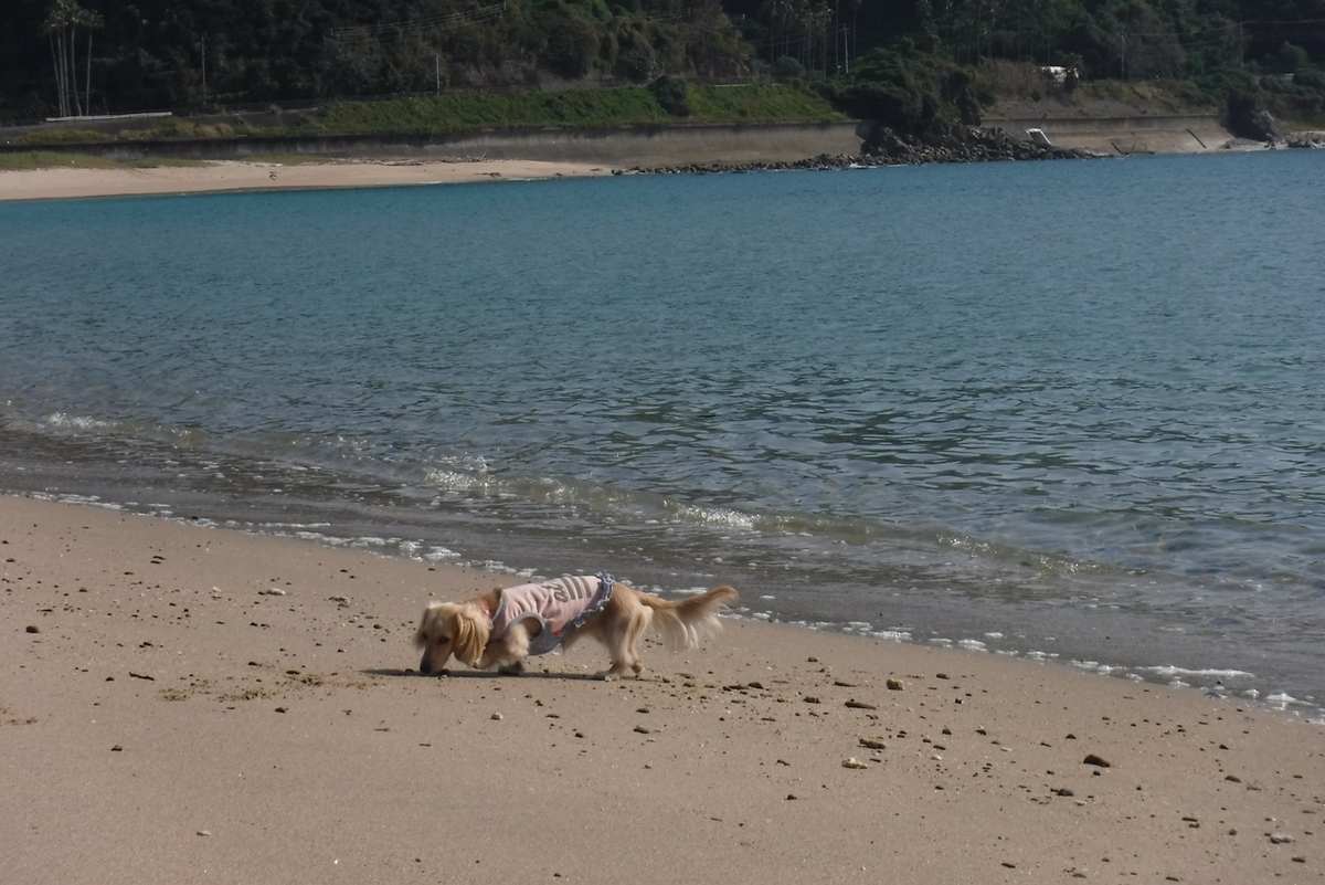 f:id:hirotaka72:20191015091445j:plain f:id:hirotaka72:20191015091445j:plain