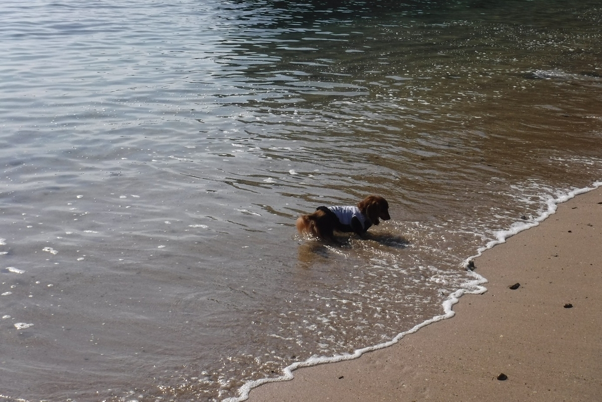 f:id:hirotaka72:20191015091822j:plain f:id:hirotaka72:20191015091822j:plain