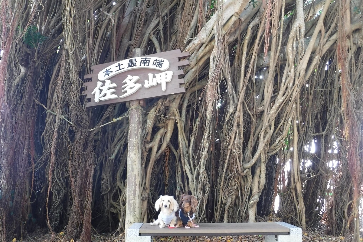 f:id:hirotaka72:20191015114605j:plain f:id:hirotaka72:20191015114605j:plain