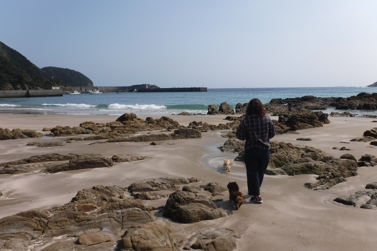 f:id:hirotaka72:20191015130834j:plain f:id:hirotaka72:20191015130834j:plain