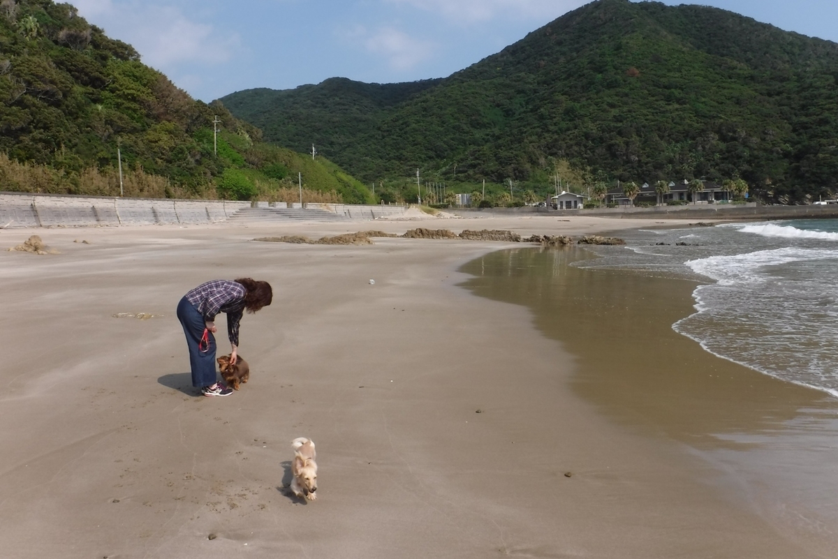 f:id:hirotaka72:20191015130941j:plain f:id:hirotaka72:20191015130941j:plain