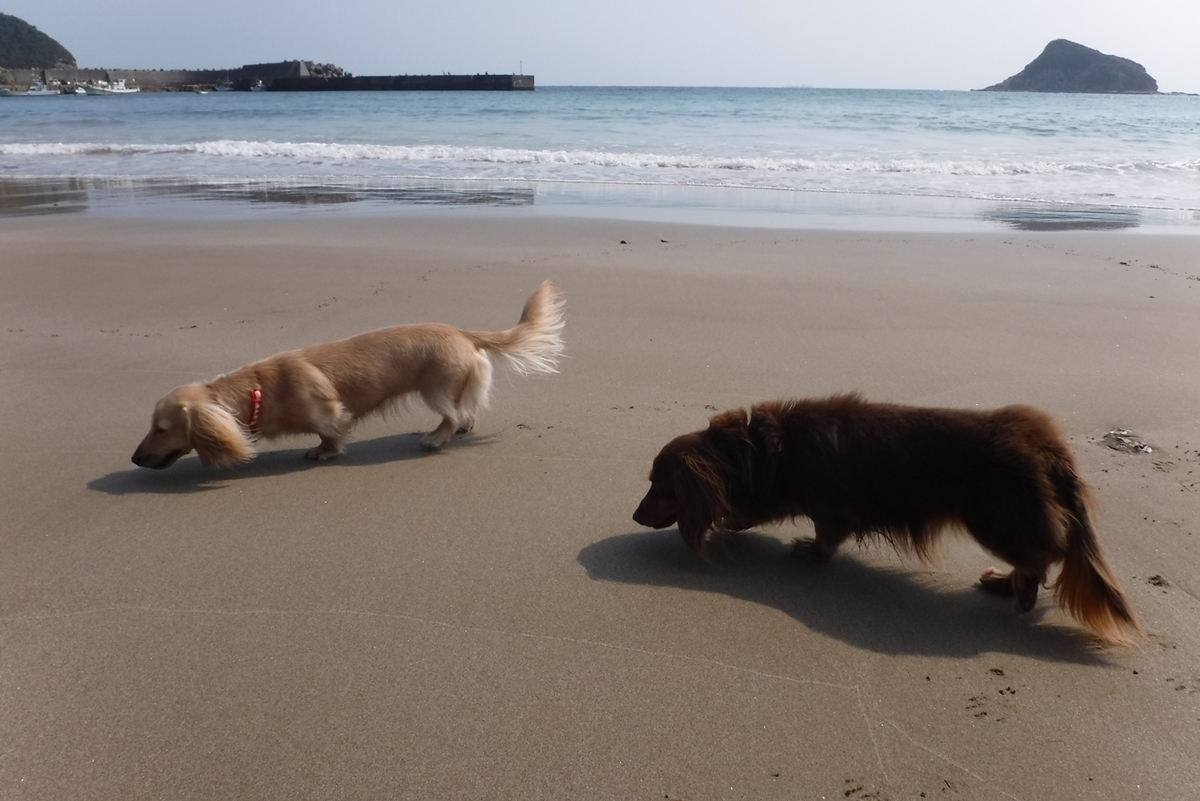 f:id:hirotaka72:20191015131123j:plain f:id:hirotaka72:20191015131123j:plain