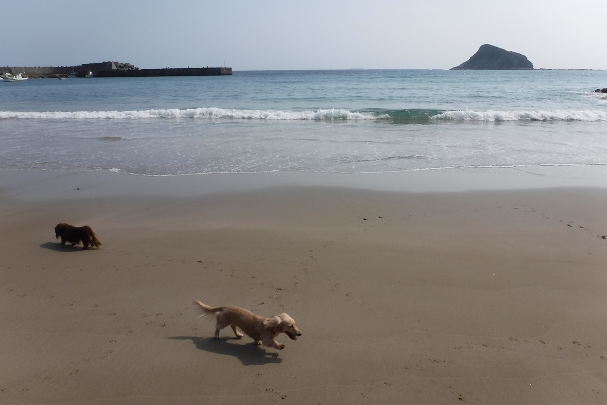 f:id:hirotaka72:20191015131140j:plain f:id:hirotaka72:20191015131140j:plain