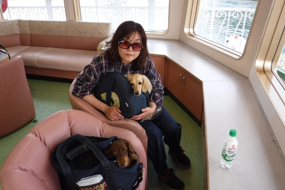 f:id:hirotaka72:20191015160531j:plain f:id:hirotaka72:20191015160531j:plain