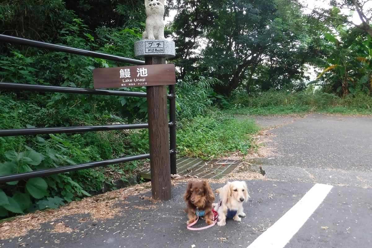 f:id:hirotaka72:20191016070619j:plain