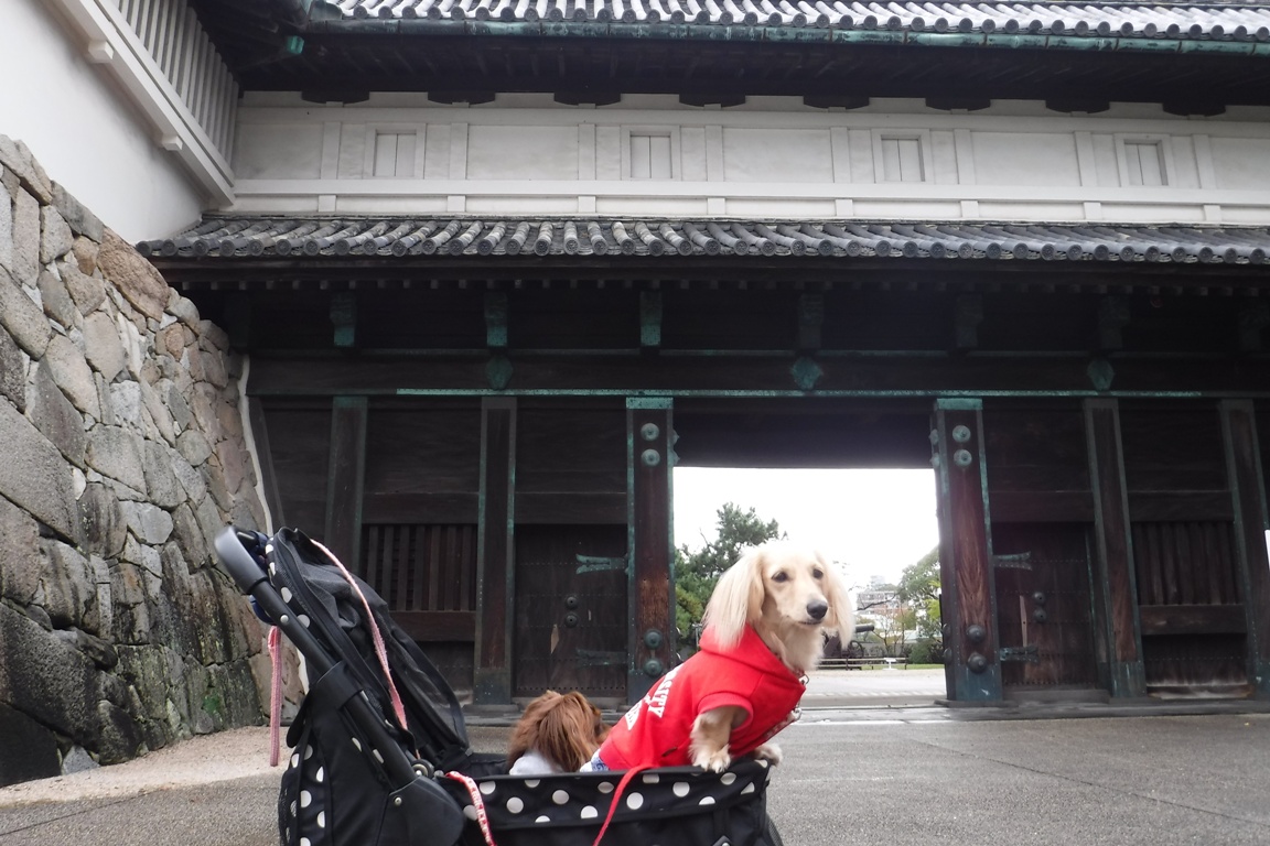 f:id:hirotaka72:20191019081456j:plain f:id:hirotaka72:20191019081456j:plain