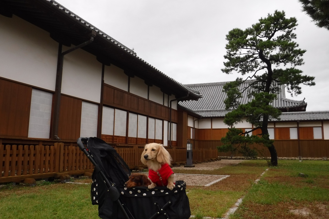 f:id:hirotaka72:20191019083551j:plain f:id:hirotaka72:20191019083551j:plain