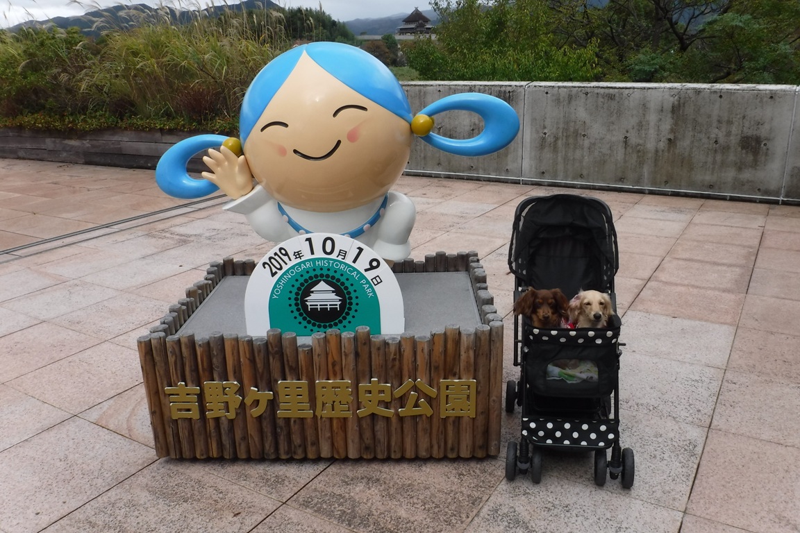 f:id:hirotaka72:20191019101104j:plain f:id:hirotaka72:20191019101104j:plain