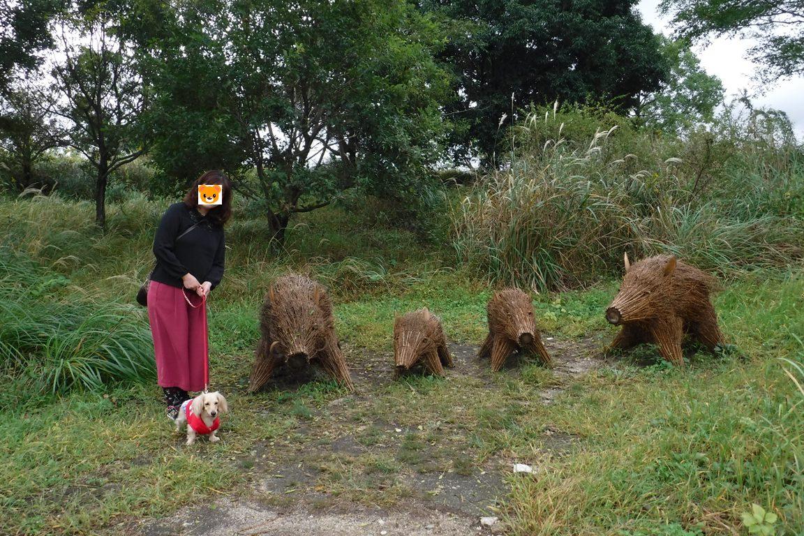 f:id:hirotaka72:20191019101708j:plain f:id:hirotaka72:20191019101708j:plain