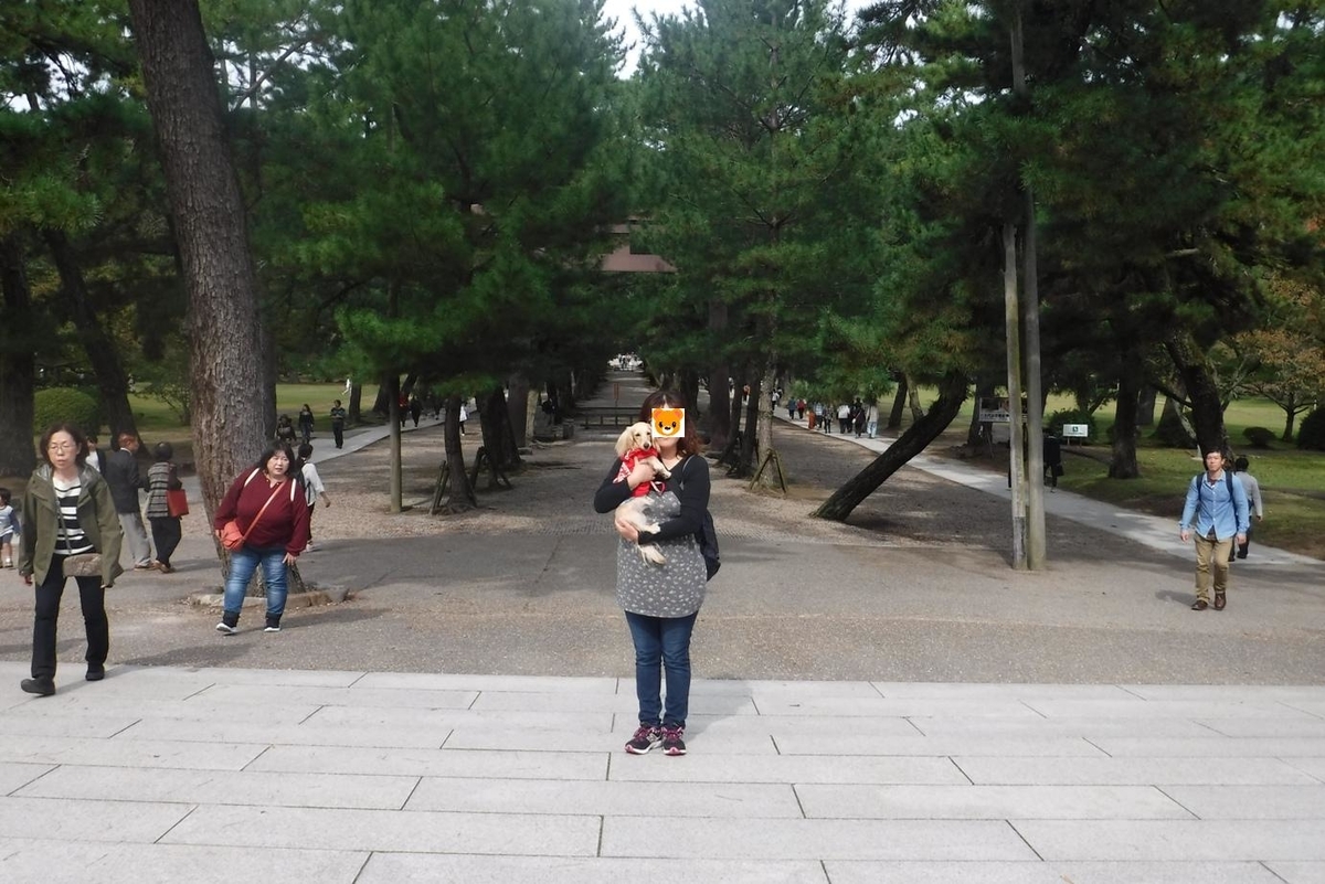 f:id:hirotaka72:20191020114728j:plain f:id:hirotaka72:20191020114728j:plain