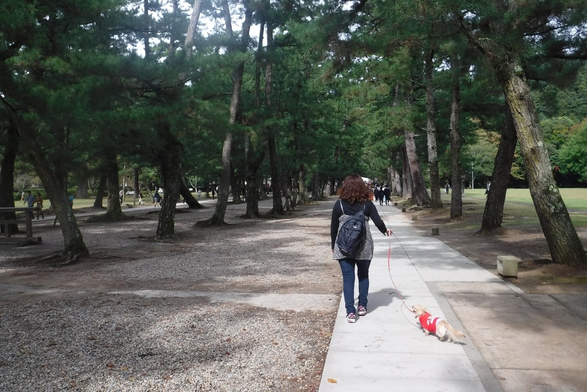 f:id:hirotaka72:20191020114809j:plain f:id:hirotaka72:20191020114809j:plain