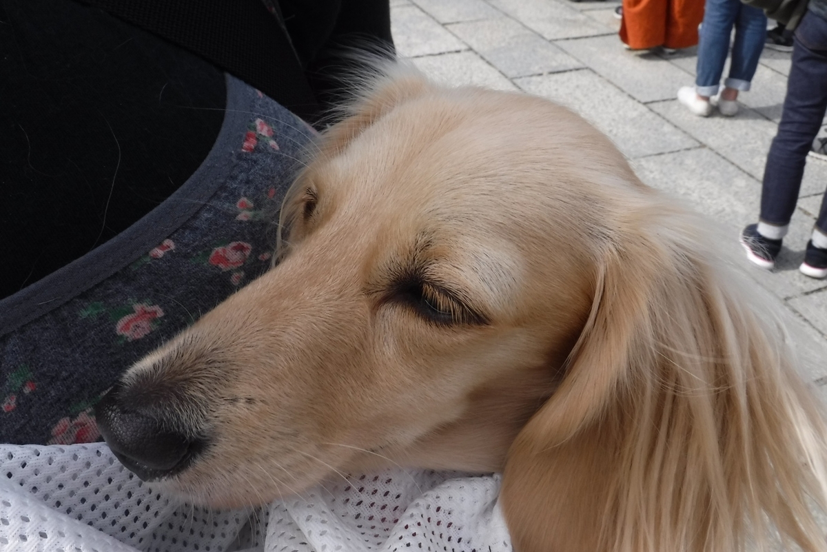 f:id:hirotaka72:20191020120210j:plain f:id:hirotaka72:20191020120210j:plain