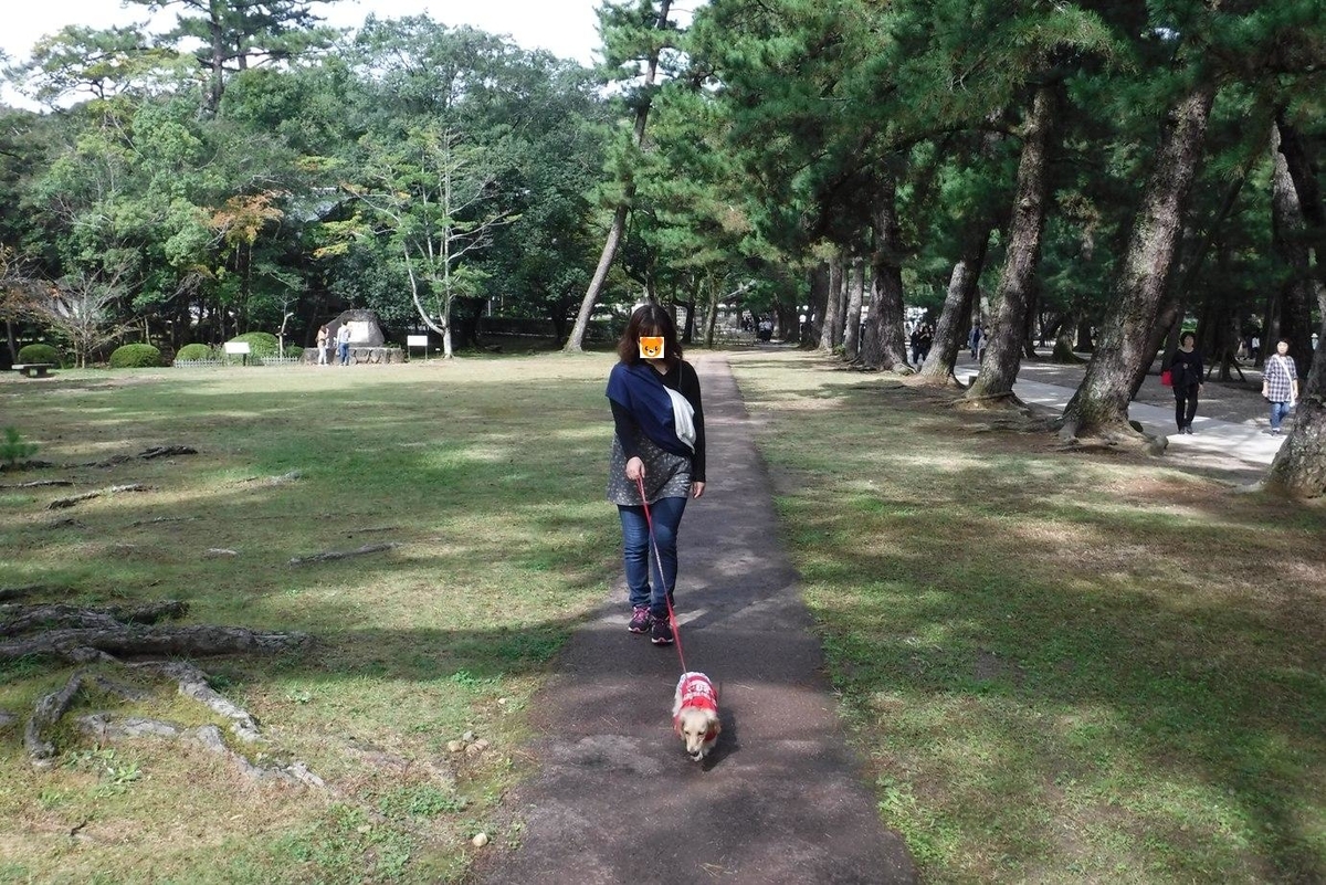 f:id:hirotaka72:20191020122135j:plain f:id:hirotaka72:20191020122135j:plain
