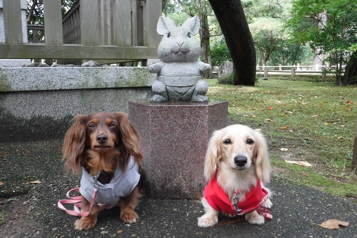 f:id:hirotaka72:20191020122812j:plain f:id:hirotaka72:20191020122812j:plain