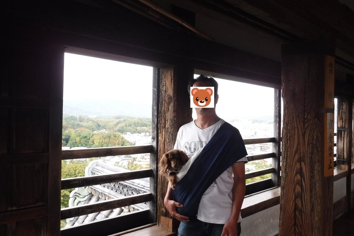 f:id:hirotaka72:20191020150056j:plain f:id:hirotaka72:20191020150056j:plain