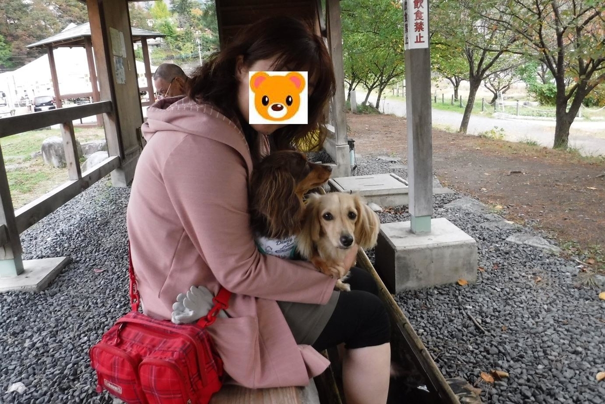 f:id:hirotaka72:20191027084051j:plain f:id:hirotaka72:20191027084051j:plain