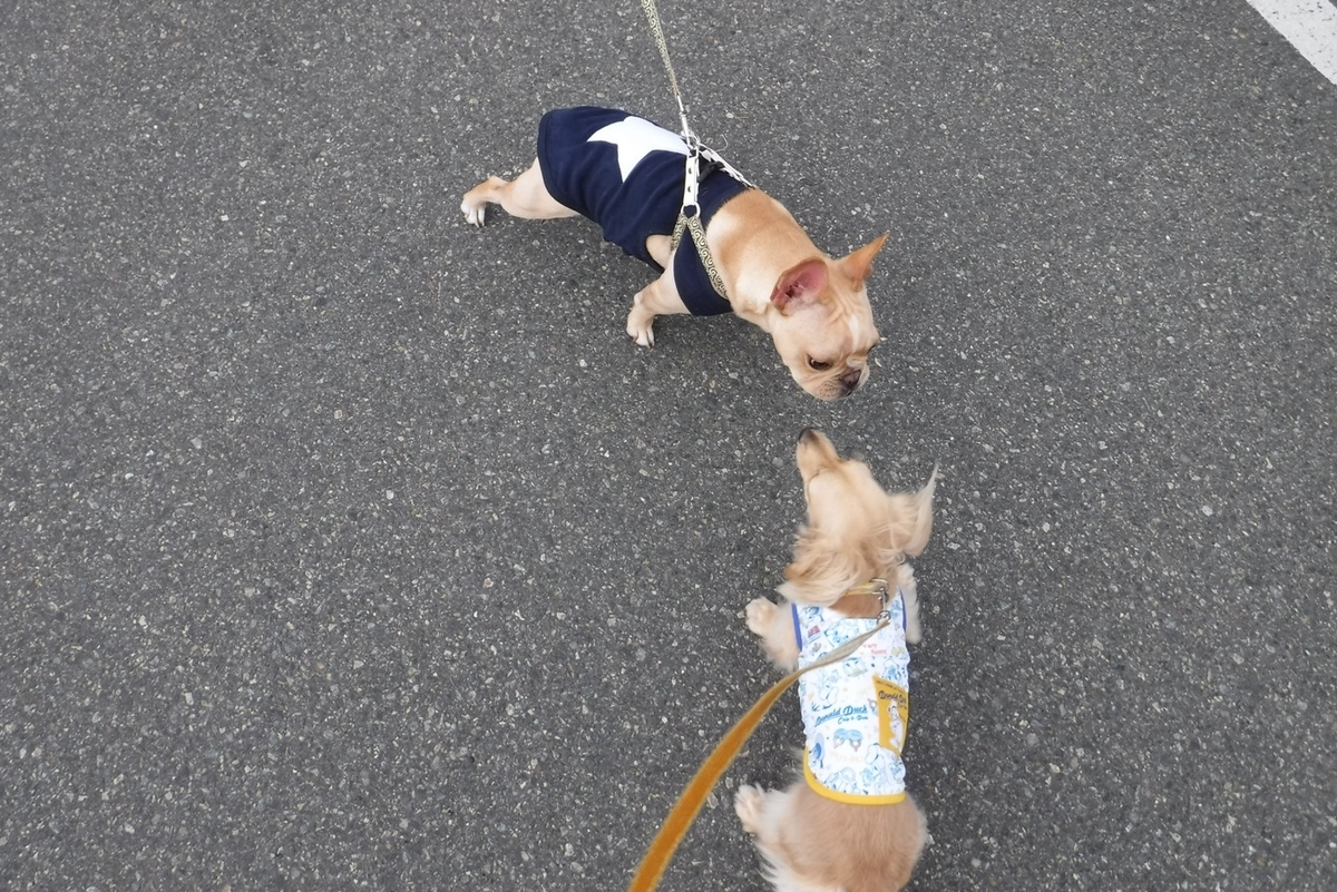 f:id:hirotaka72:20191027090433j:plain f:id:hirotaka72:20191027090433j:plain