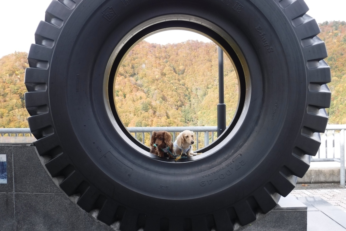 f:id:hirotaka72:20191027101247j:plain f:id:hirotaka72:20191027101247j:plain