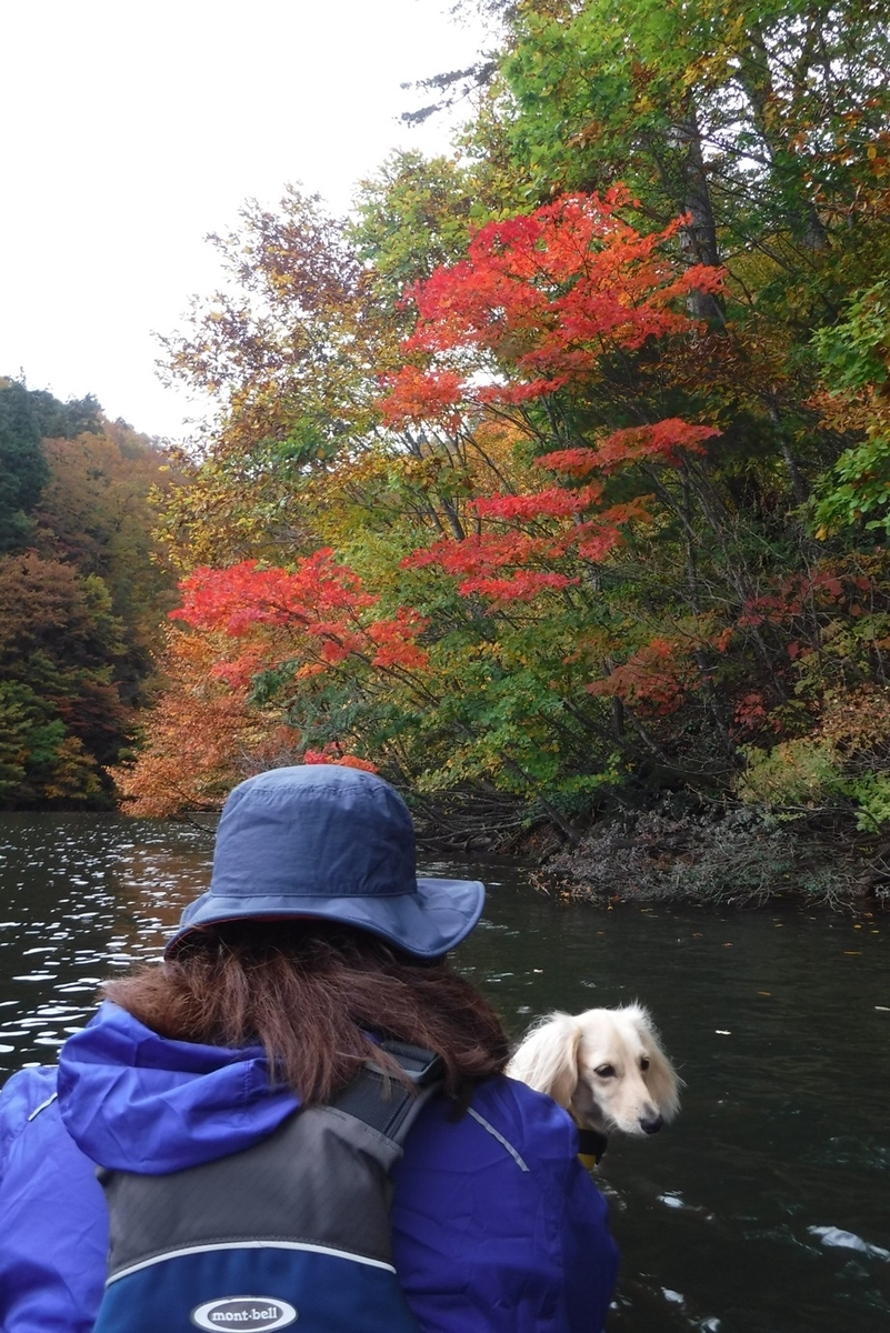 f:id:hirotaka72:20191027122858j:plain f:id:hirotaka72:20191027122858j:plain
