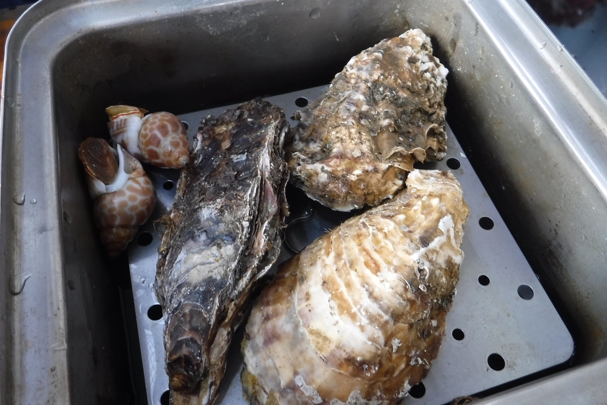f:id:hirotaka72:20191201114350j:plain f:id:hirotaka72:20191201114350j:plain
