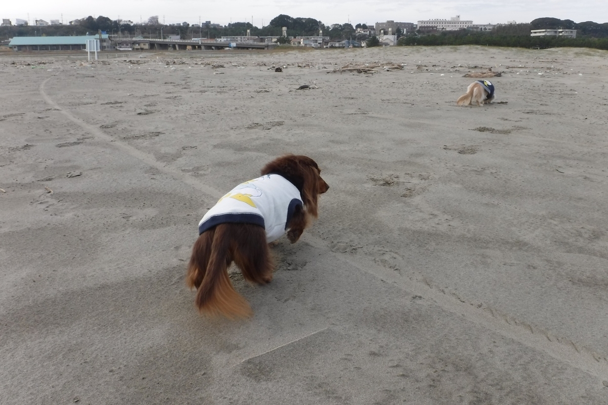 f:id:hirotaka72:20191201130645j:plain f:id:hirotaka72:20191201130645j:plain