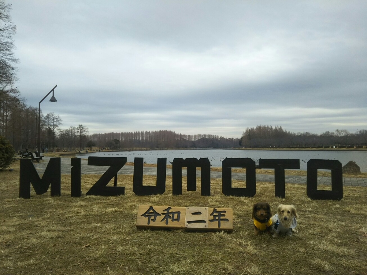 f:id:hirotaka72:20200112112559j:plain