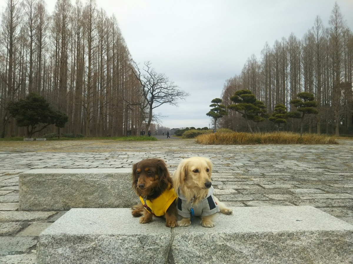 f:id:hirotaka72:20200112114433j:plain