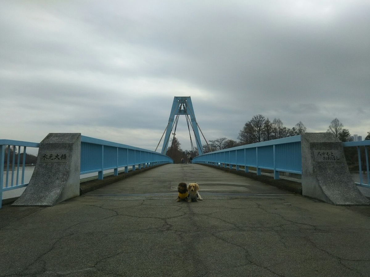f:id:hirotaka72:20200112121025j:plain