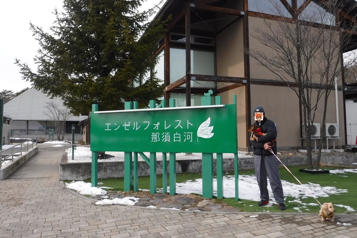 f:id:hirotaka72:20200119125426j:plain f:id:hirotaka72:20200119125426j:plain