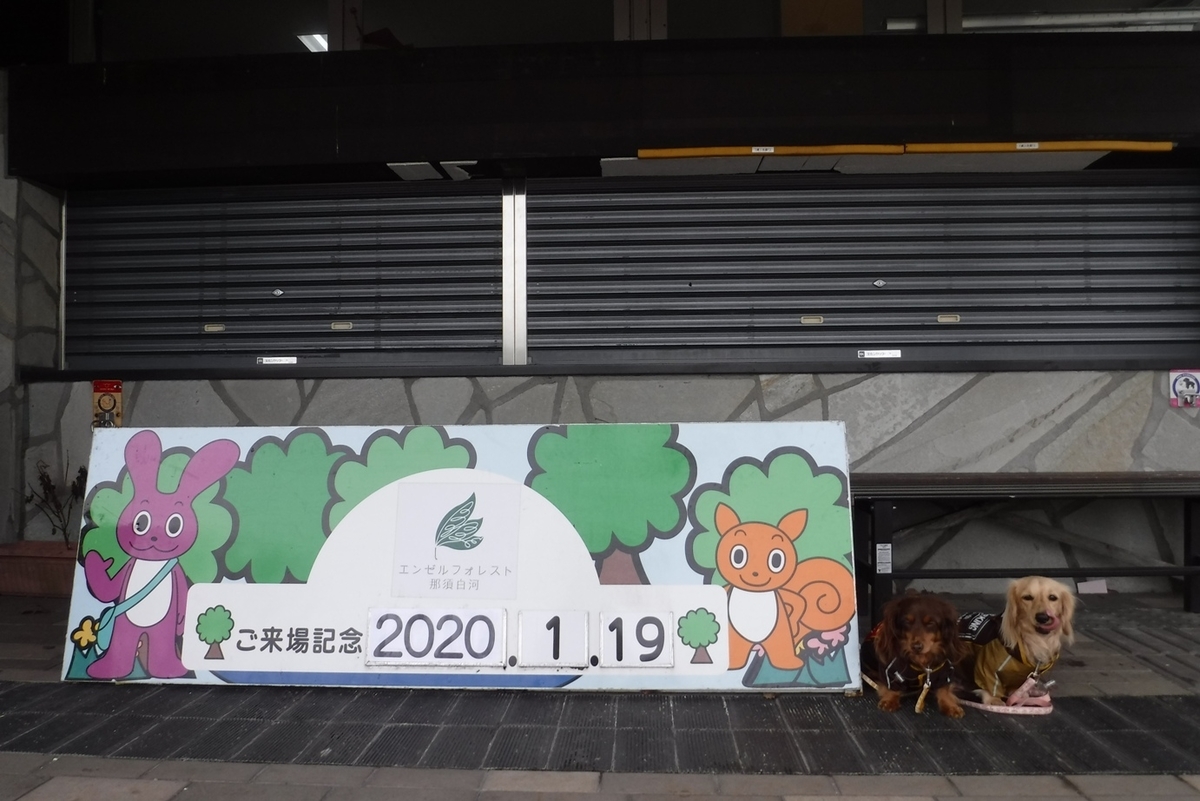 f:id:hirotaka72:20200119130412j:plain f:id:hirotaka72:20200119130412j:plain
