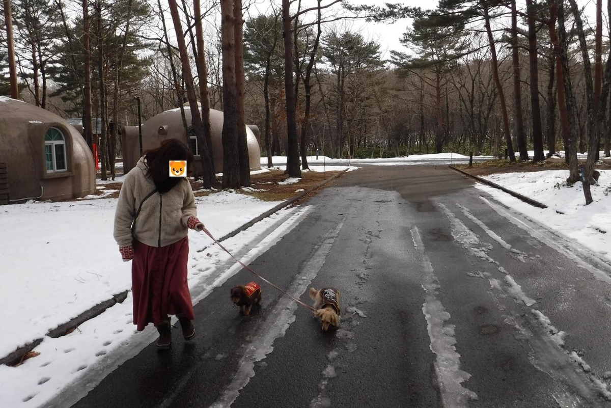 f:id:hirotaka72:20200119131407j:plain f:id:hirotaka72:20200119131407j:plain