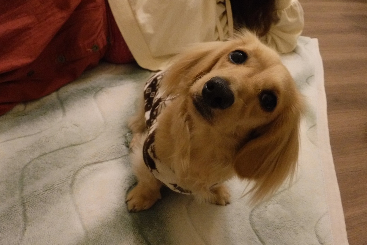 f:id:hirotaka72:20200119161824j:plain f:id:hirotaka72:20200119161824j:plain