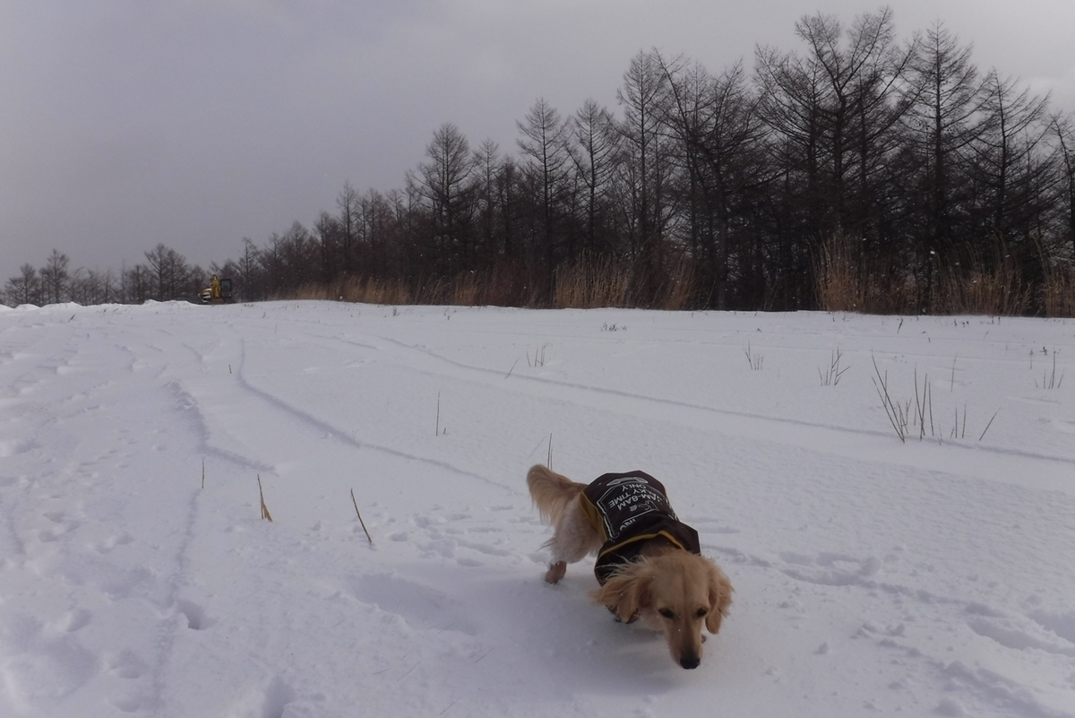 f:id:hirotaka72:20200120094333j:plain f:id:hirotaka72:20200120094333j:plain